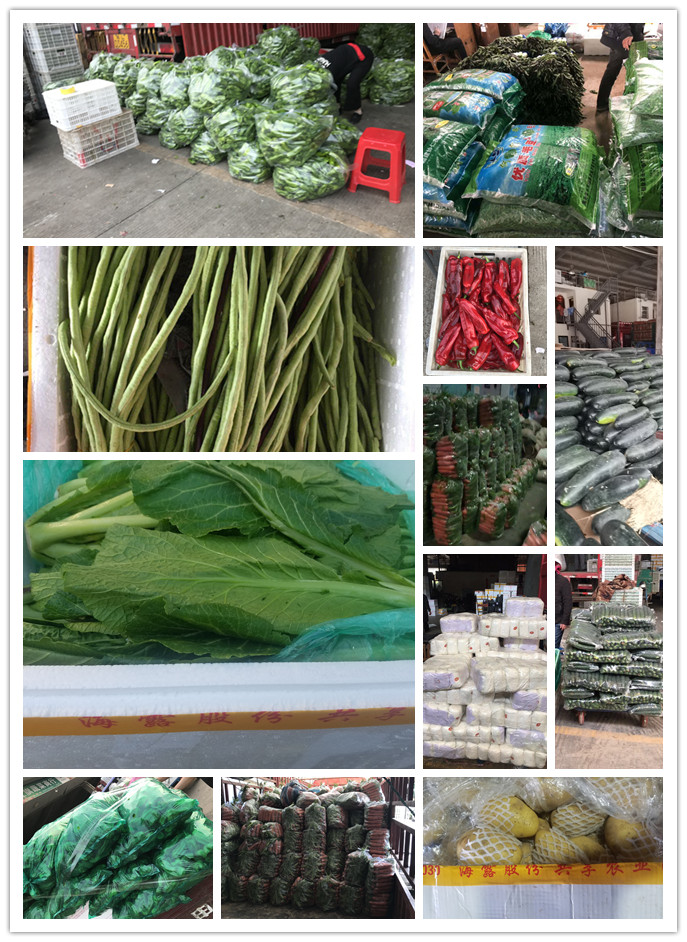 EVO厅·(中国区)视讯官网