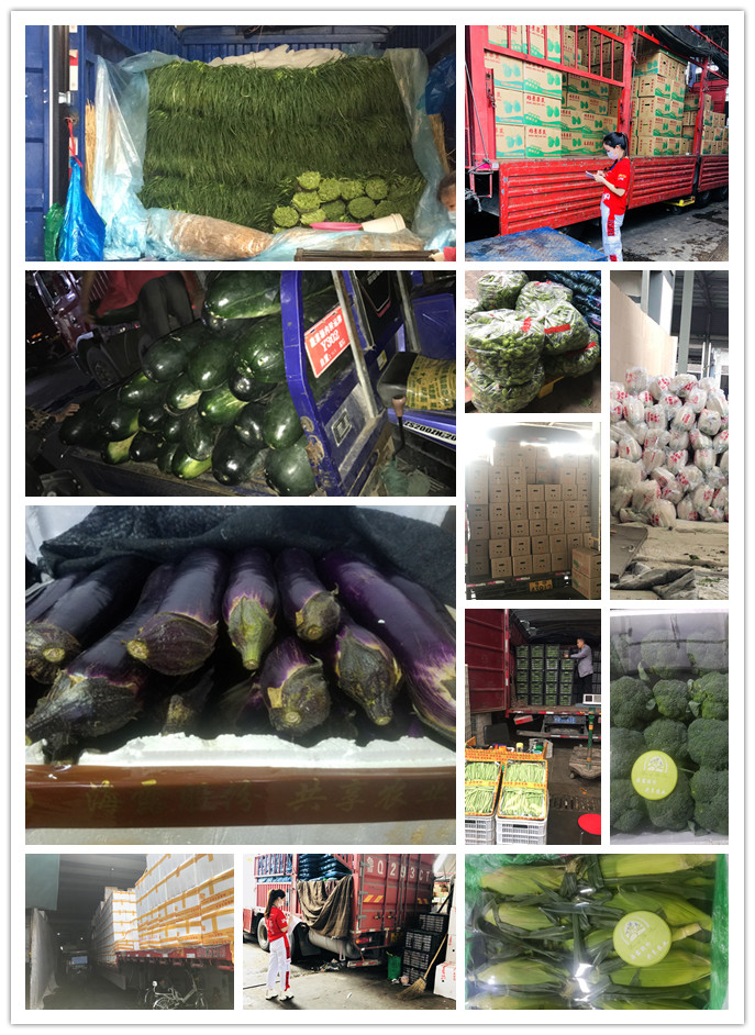 EVO厅·(中国区)视讯官网