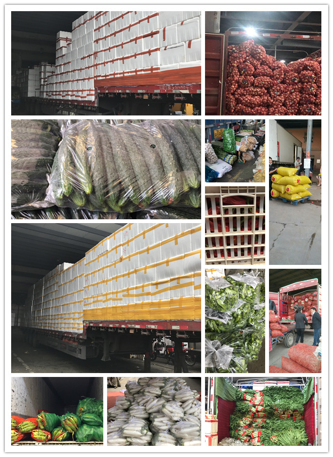 EVO厅·(中国区)视讯官网