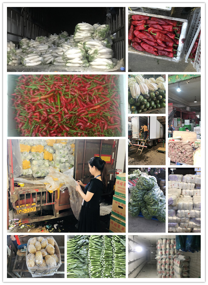 EVO厅·(中国区)视讯官网