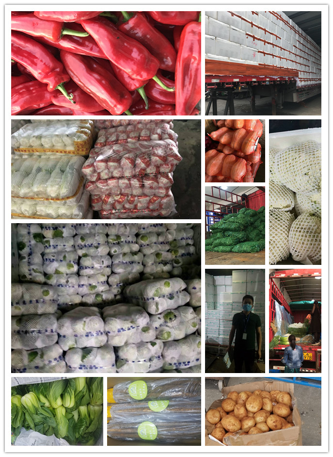 EVO厅·(中国区)视讯官网