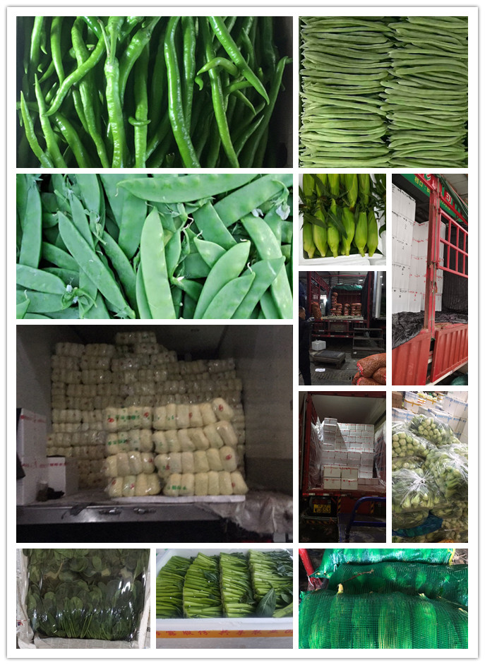 EVO厅·(中国区)视讯官网