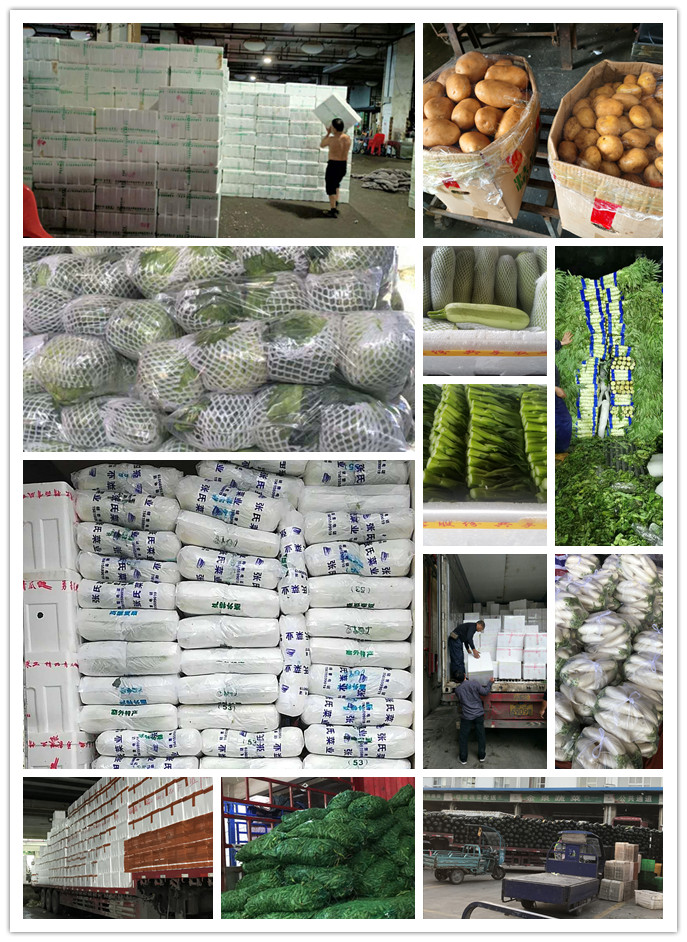 EVO厅·(中国区)视讯官网