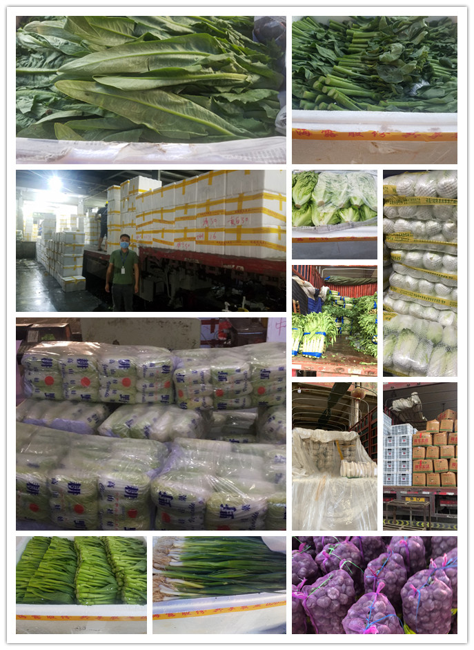 EVO厅·(中国区)视讯官网