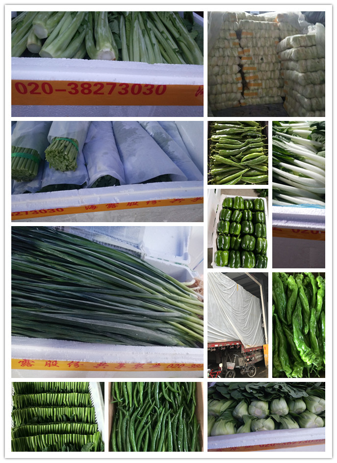 EVO厅·(中国区)视讯官网