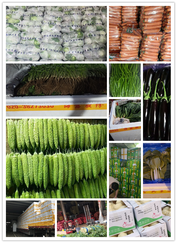 EVO厅·(中国区)视讯官网