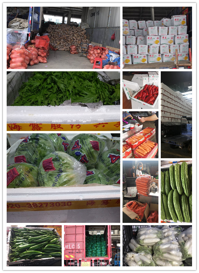 EVO厅·(中国区)视讯官网