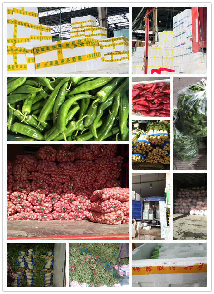 EVO厅·(中国区)视讯官网