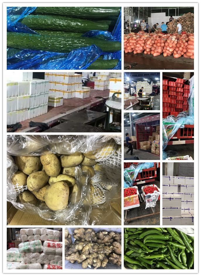 EVO厅·(中国区)视讯官网