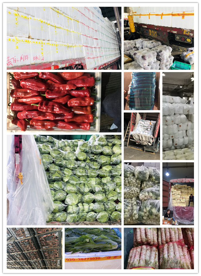 EVO厅·(中国区)视讯官网