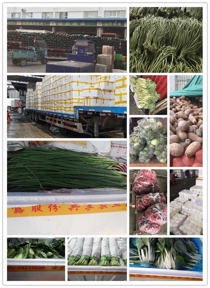 EVO厅·(中国区)视讯官网