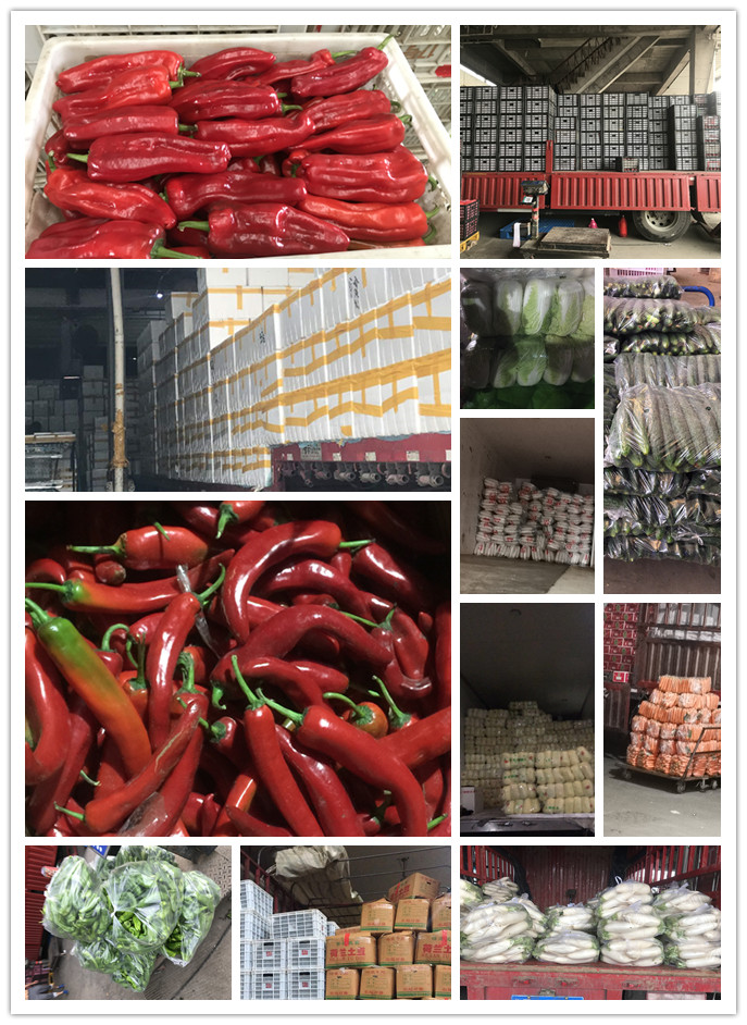 EVO厅·(中国区)视讯官网