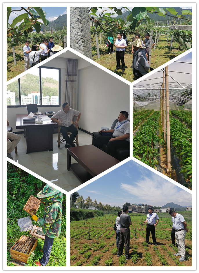 EVO厅·(中国区)视讯官网