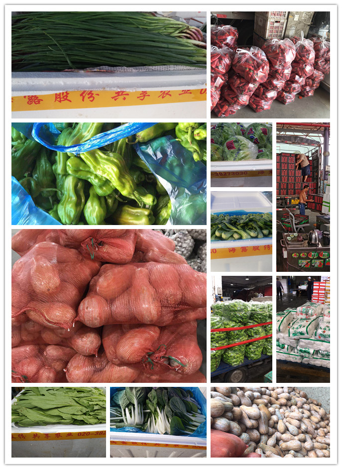 EVO厅·(中国区)视讯官网