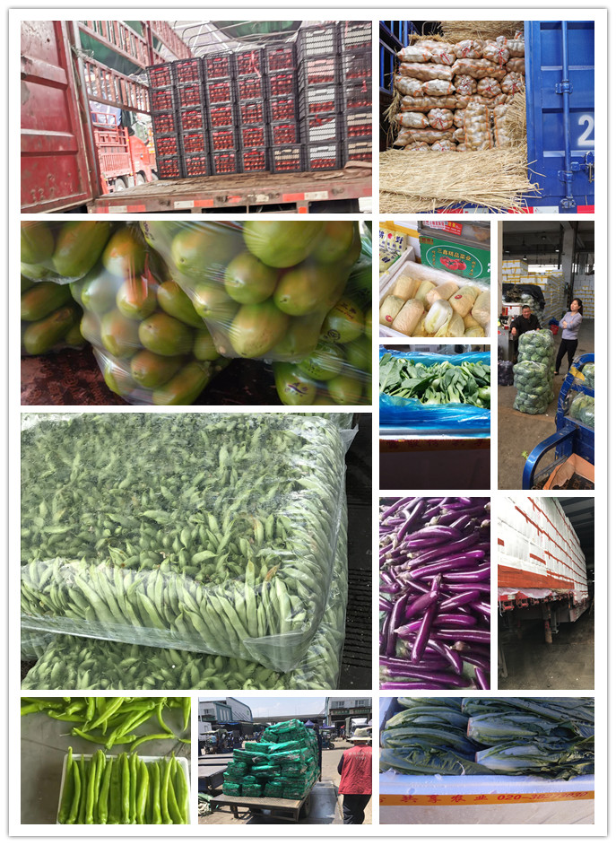 EVO厅·(中国区)视讯官网