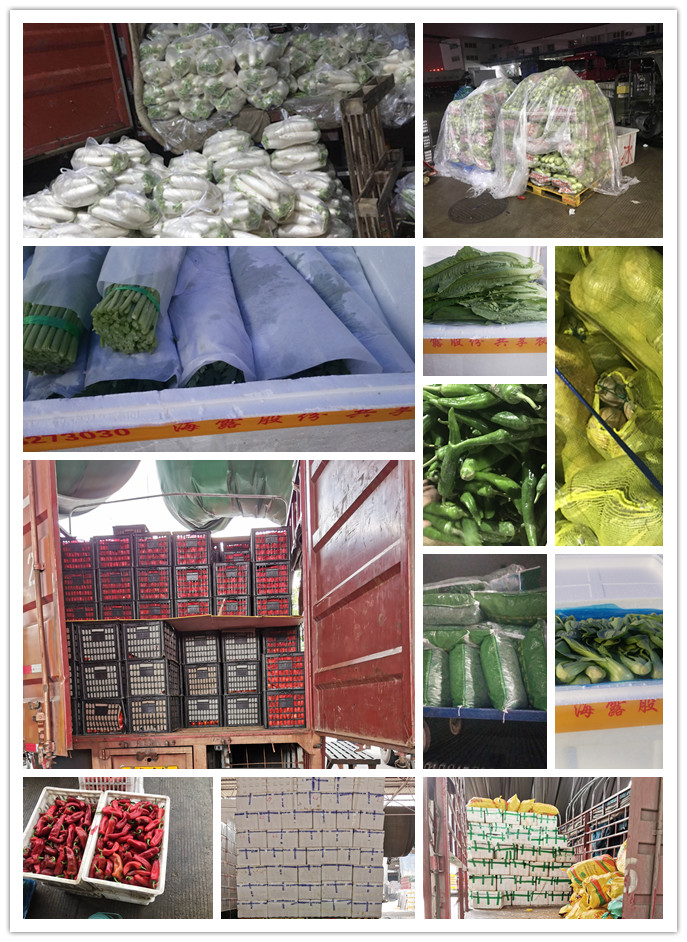 EVO厅·(中国区)视讯官网