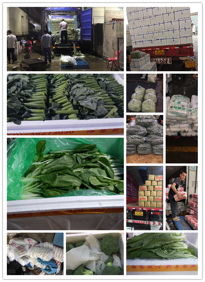 EVO厅·(中国区)视讯官网