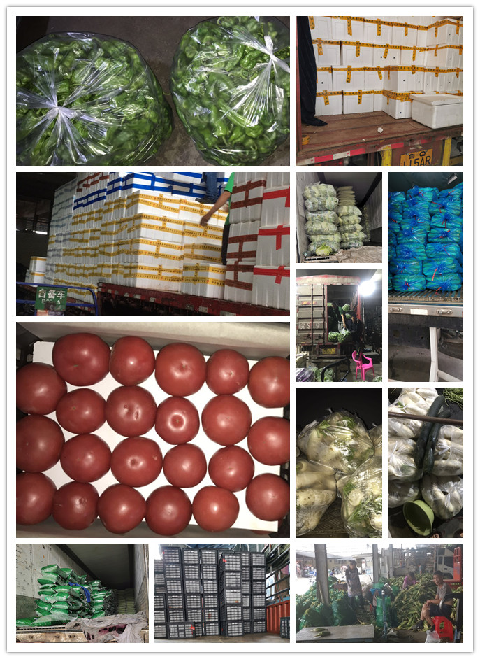 EVO厅·(中国区)视讯官网