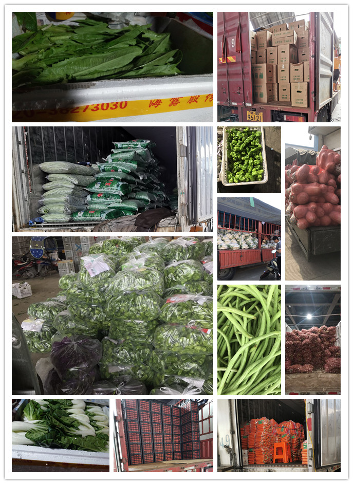 EVO厅·(中国区)视讯官网