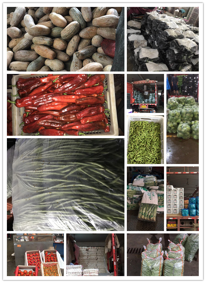 EVO厅·(中国区)视讯官网