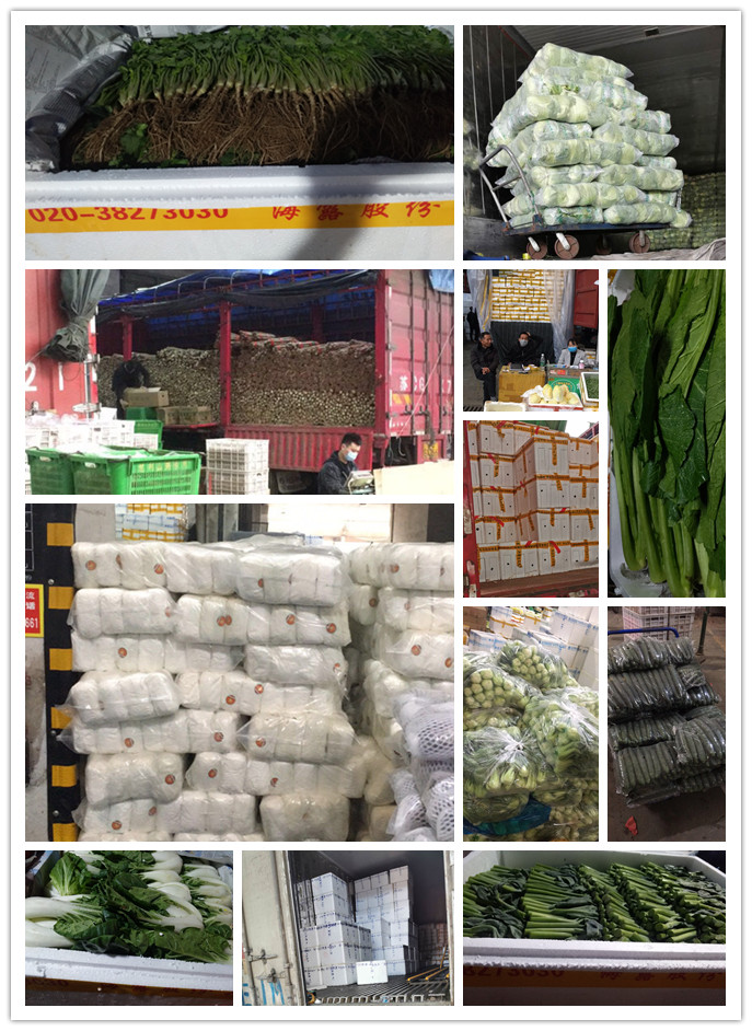 EVO厅·(中国区)视讯官网