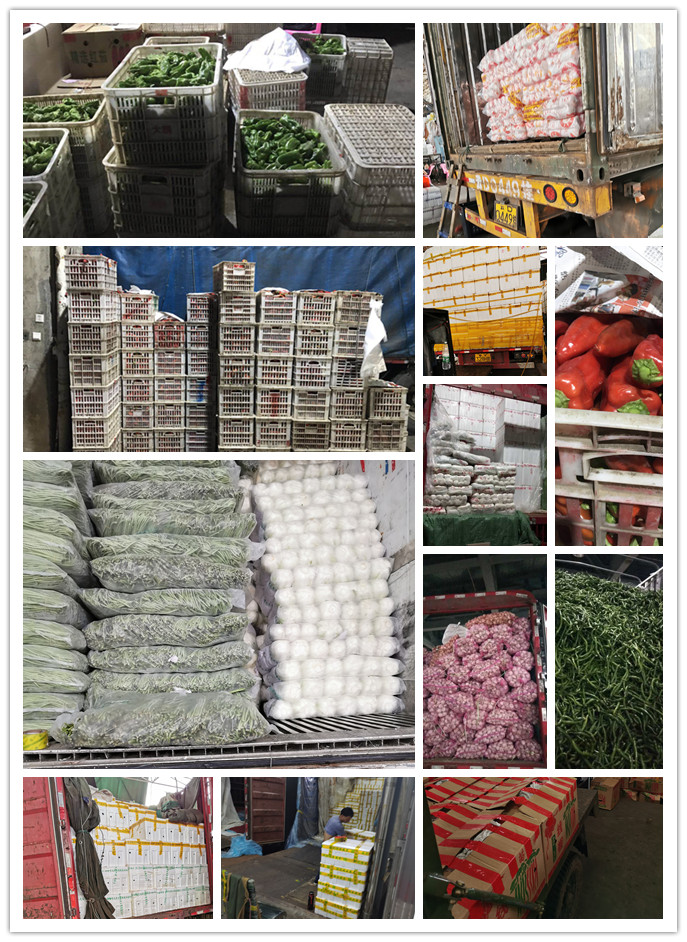 EVO厅·(中国区)视讯官网