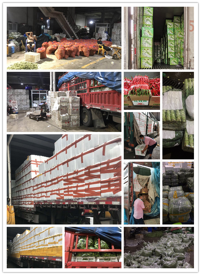 EVO厅·(中国区)视讯官网