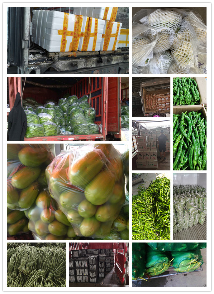 EVO厅·(中国区)视讯官网