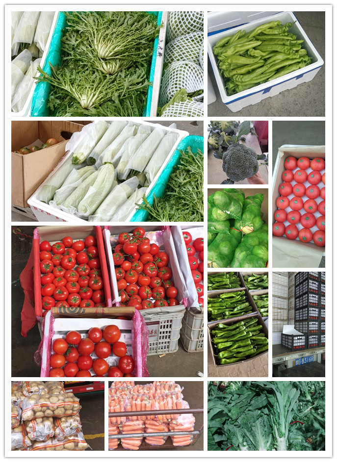 EVO厅·(中国区)视讯官网