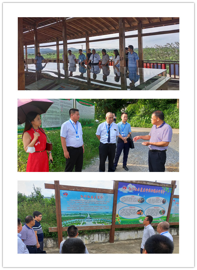 EVO厅·(中国区)视讯官网