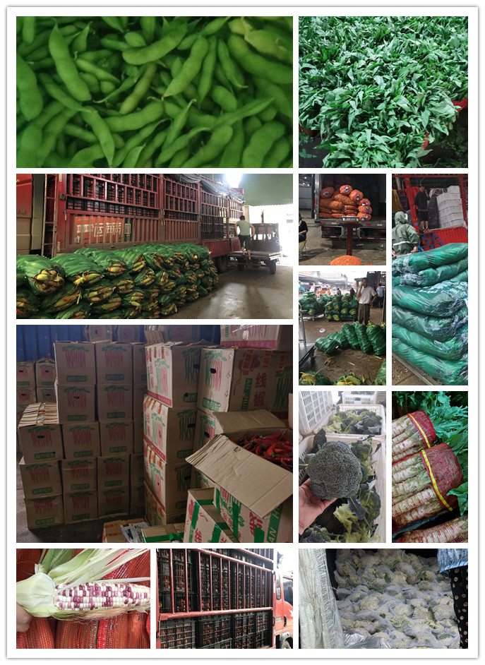 EVO厅·(中国区)视讯官网