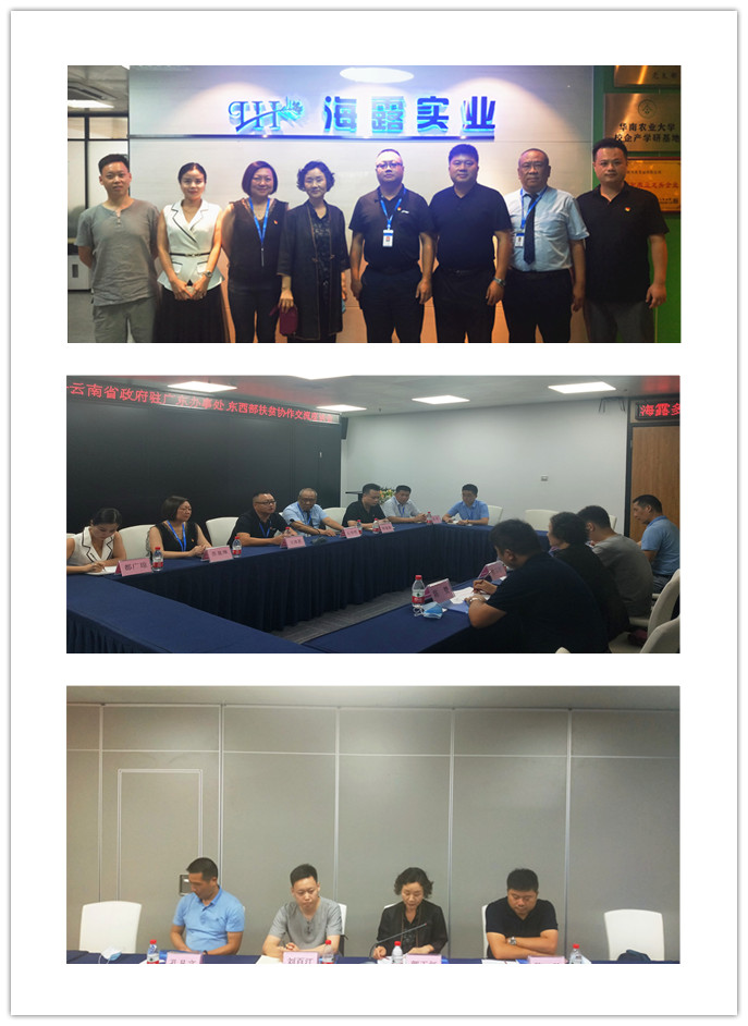 EVO厅·(中国区)视讯官网