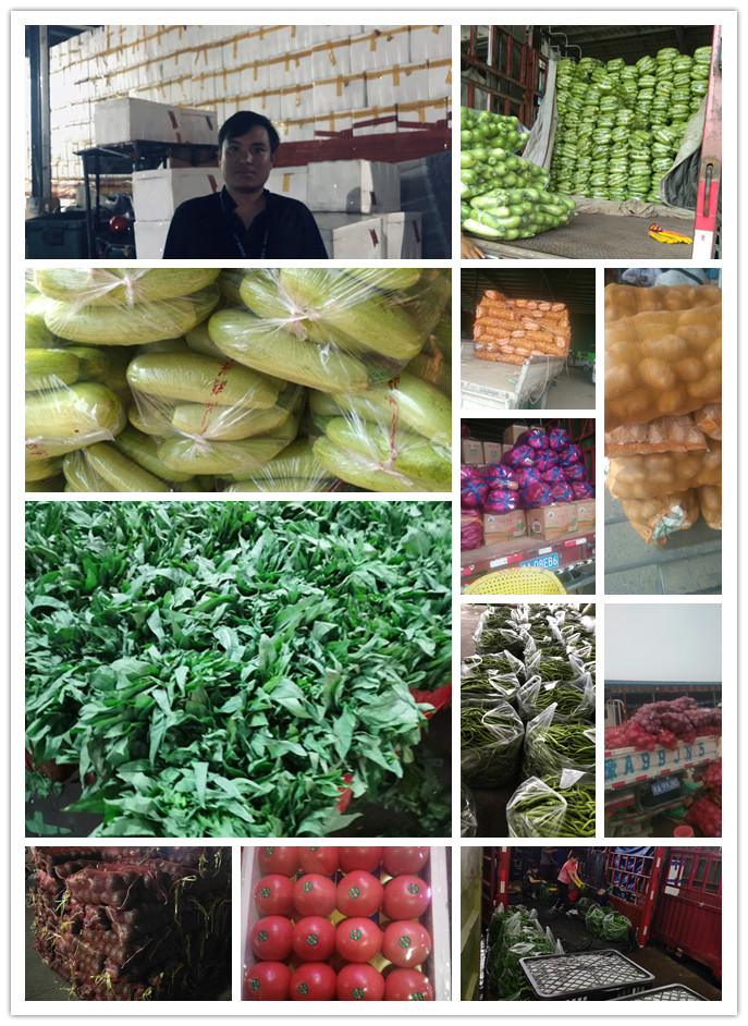 EVO厅·(中国区)视讯官网