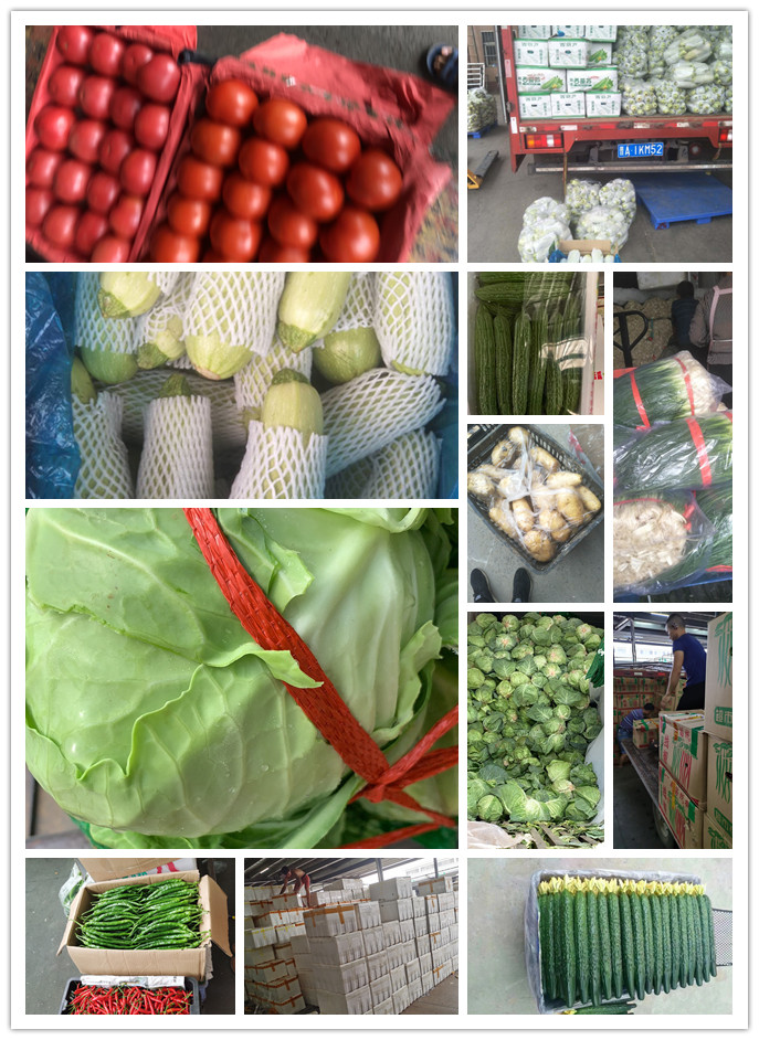 EVO厅·(中国区)视讯官网