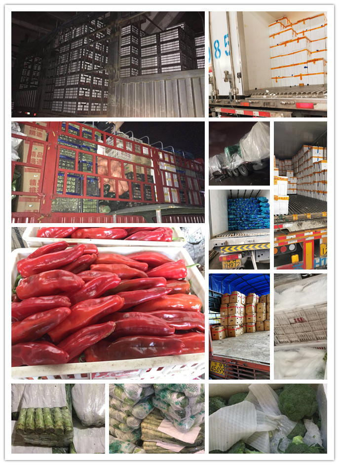 EVO厅·(中国区)视讯官网