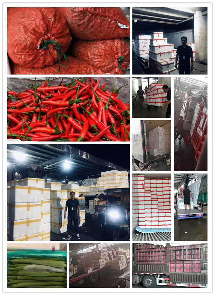 EVO厅·(中国区)视讯官网