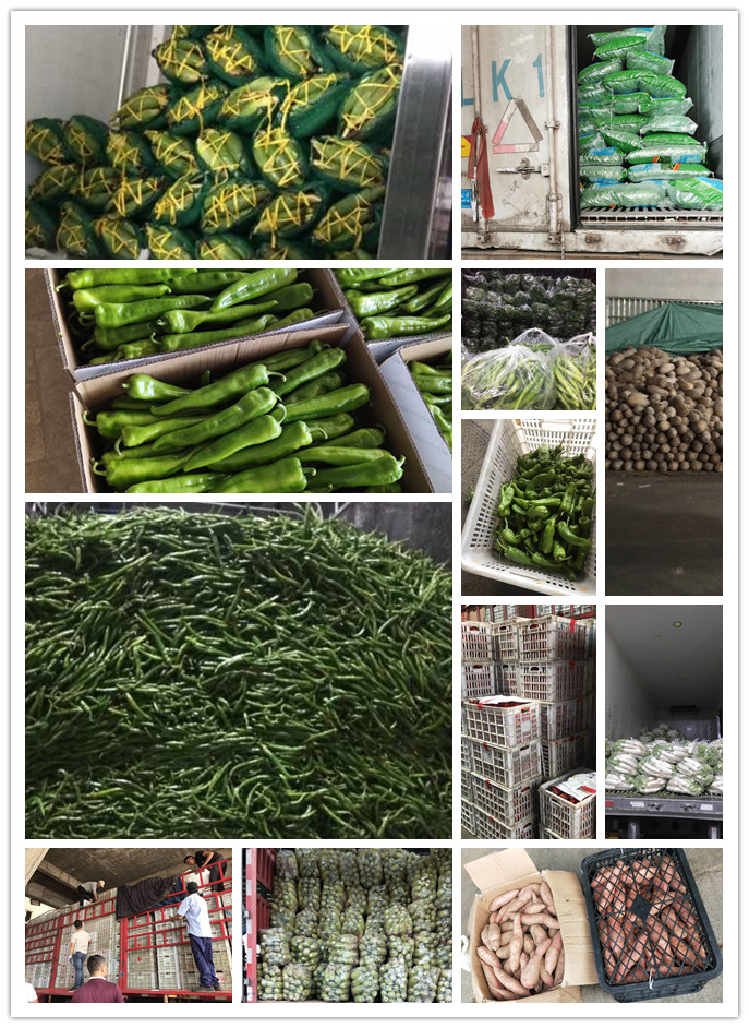 EVO厅·(中国区)视讯官网