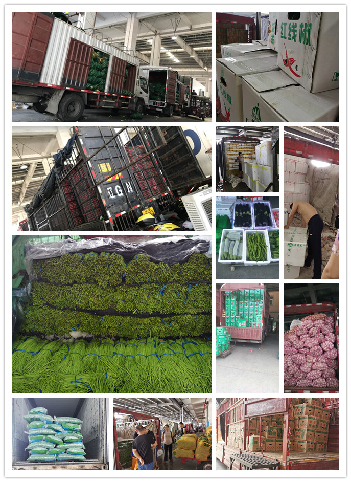 EVO厅·(中国区)视讯官网