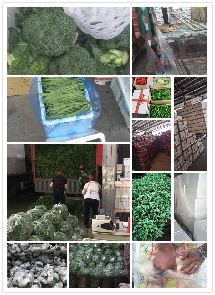 EVO厅·(中国区)视讯官网