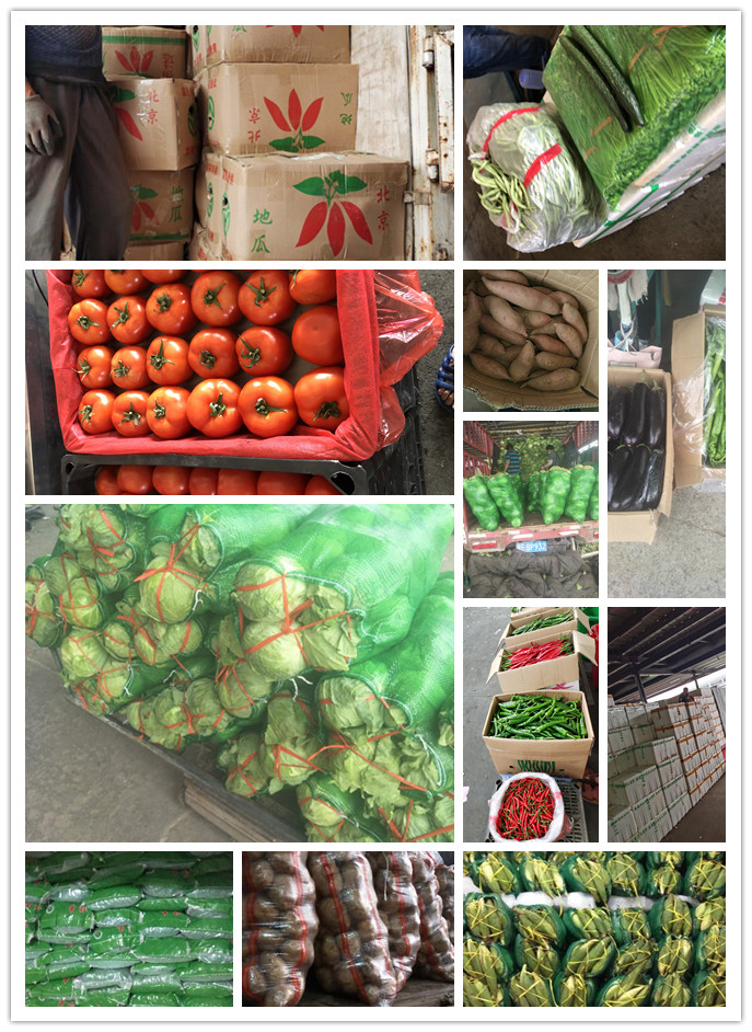 EVO厅·(中国区)视讯官网