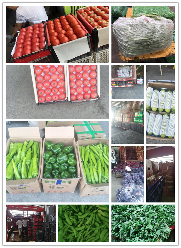 EVO厅·(中国区)视讯官网