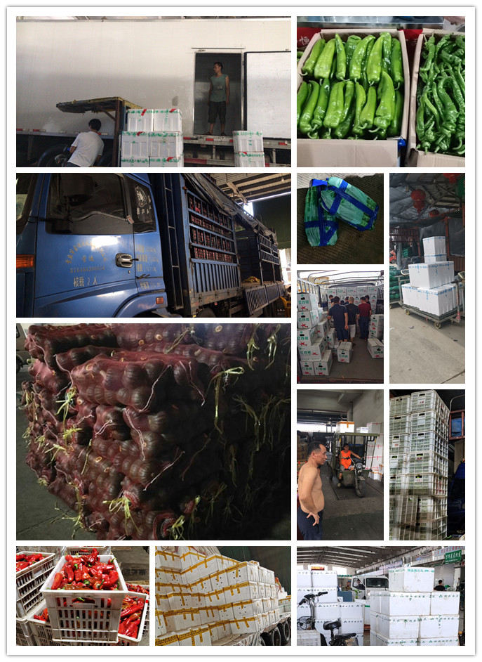 EVO厅·(中国区)视讯官网