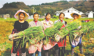 EVO厅·(中国区)视讯官网