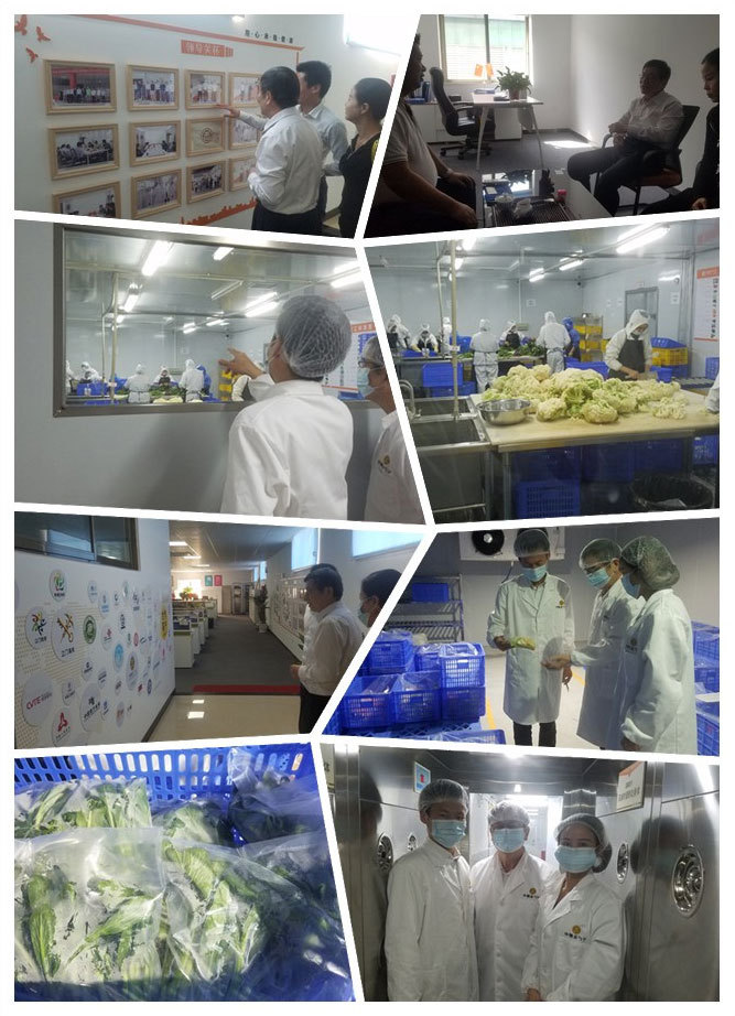 EVO厅·(中国区)视讯官网