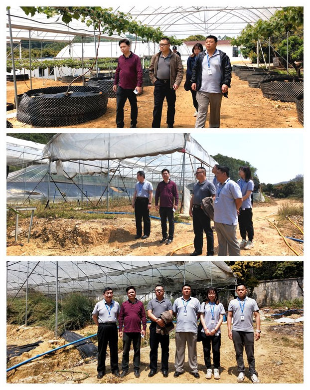 EVO厅·(中国区)视讯官网