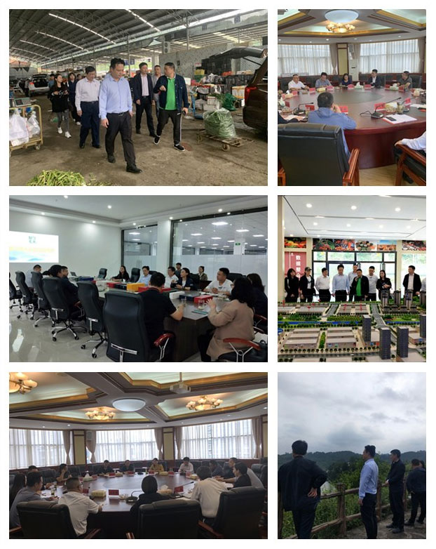 EVO厅·(中国区)视讯官网