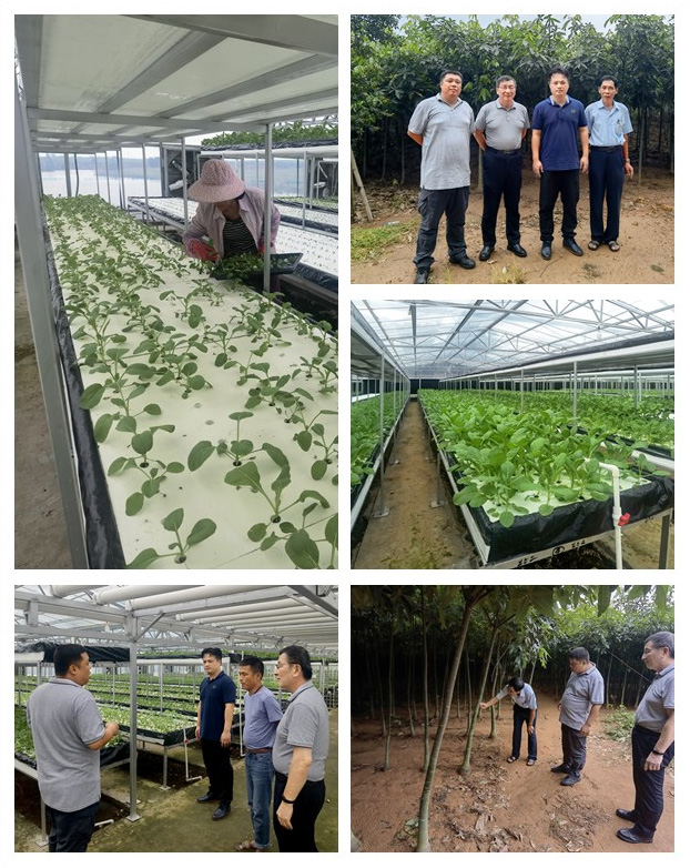 EVO厅·(中国区)视讯官网