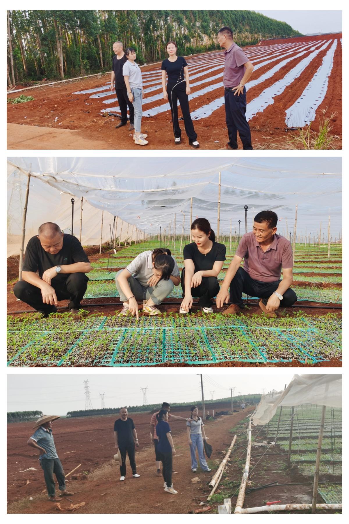 EVO厅·(中国区)视讯官网