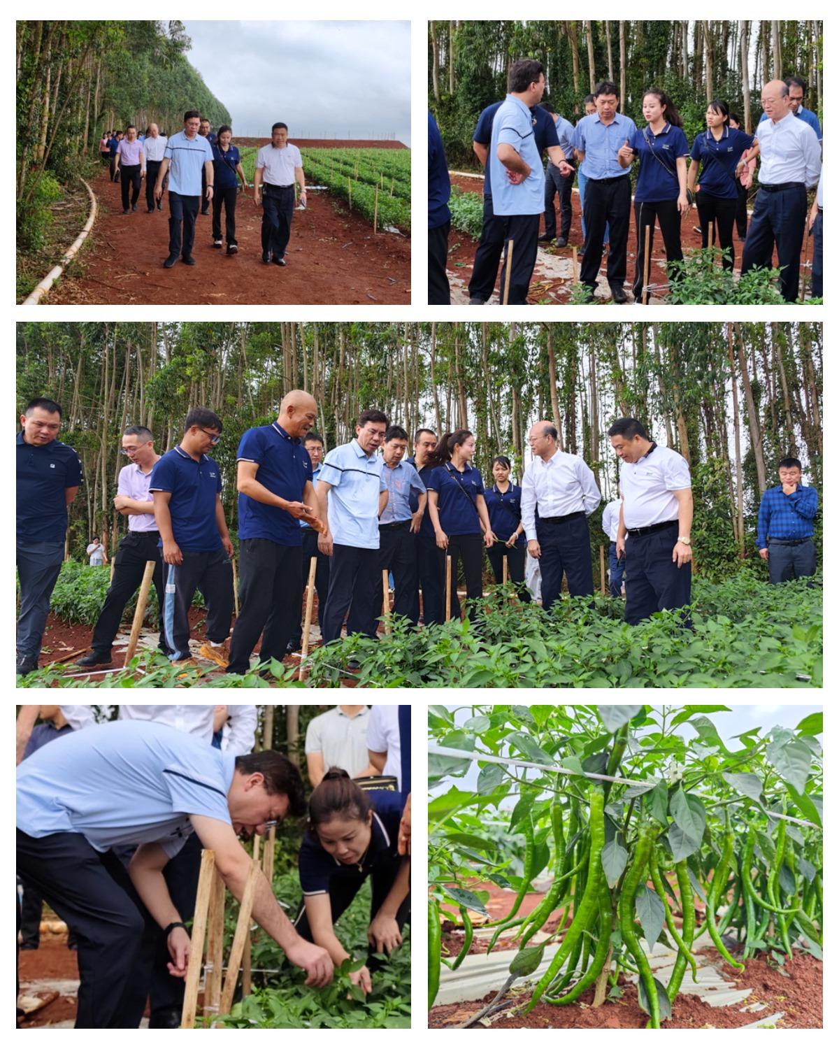 EVO厅·(中国区)视讯官网