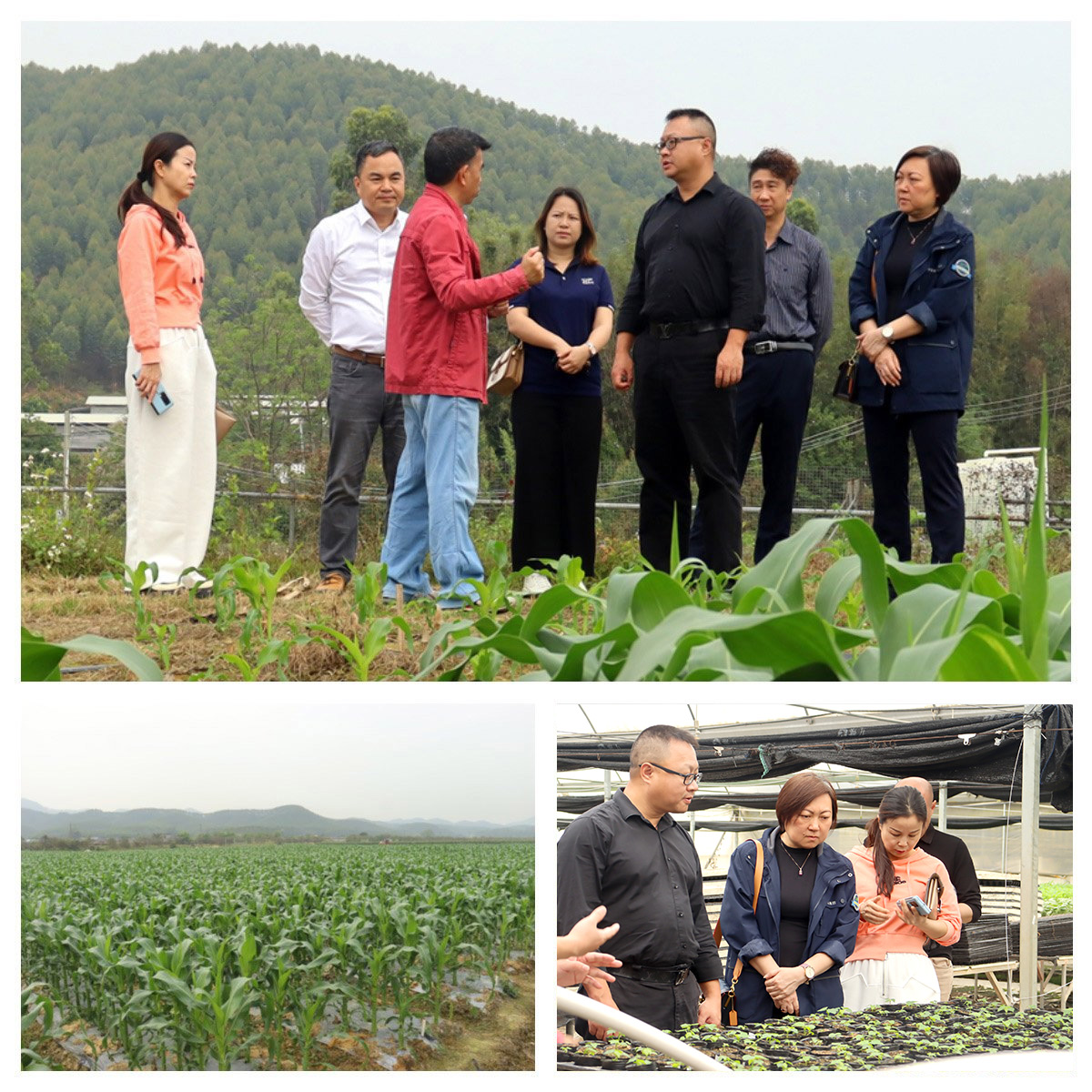 EVO厅·(中国区)视讯官网